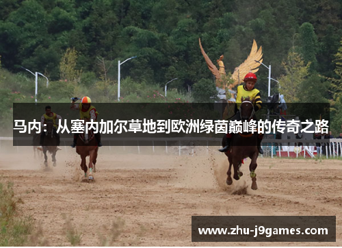 马内：从塞内加尔草地到欧洲绿茵巅峰的传奇之路